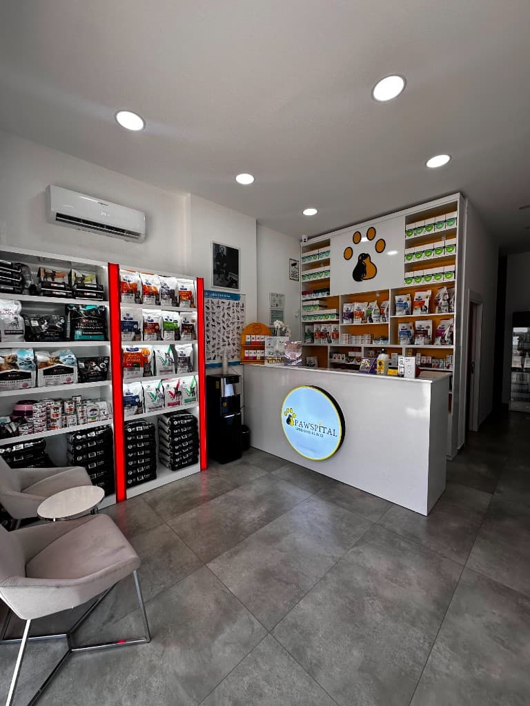 Pawspital Veteriner Kliniği bekleme alanı
